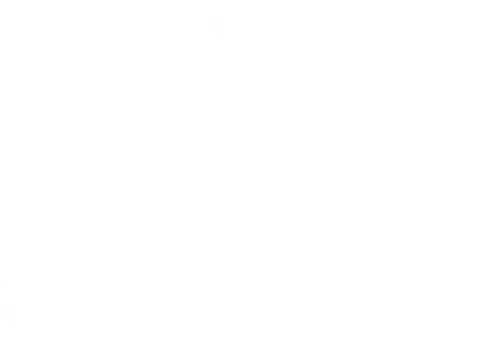 saints white logo
